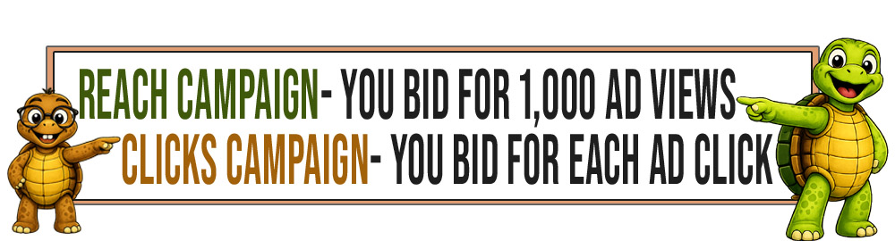 Tater Tot and Sheldon point to a comparison showing that Reach campaigns bid for 1,000 ad views while Clicks campaigns bid for each ad click.