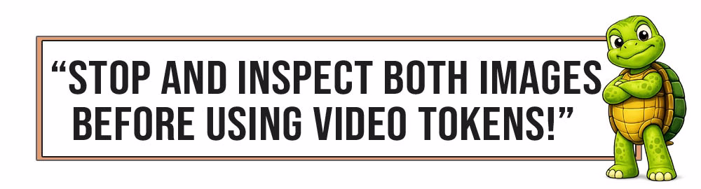 Banner graphic with Sheldon beside the message: Stop and inspect both images before using video tokens.